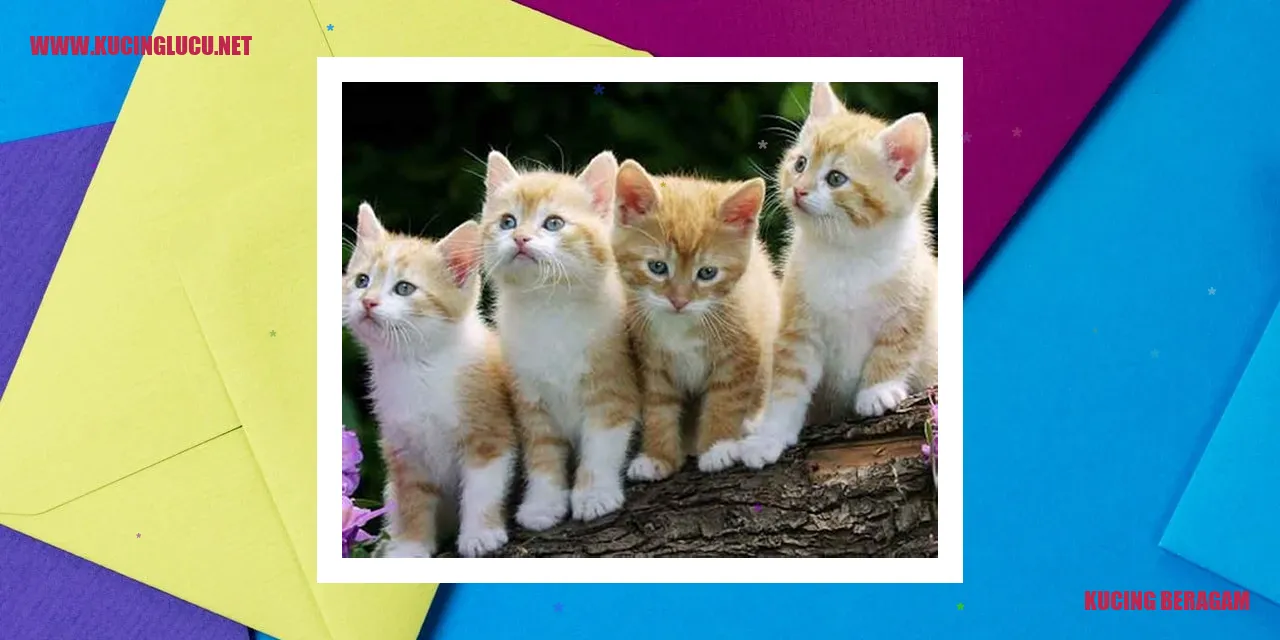 Kucing dengan Karakteristik Fisik yang Beragam