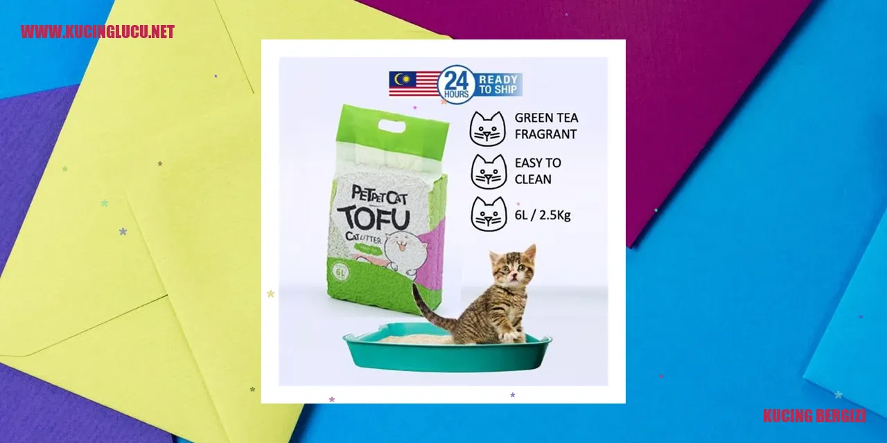 Kucing Bergizi