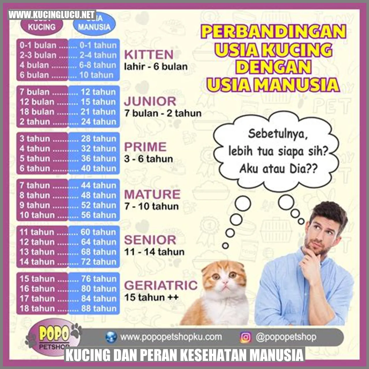 Gambar Menggemaskan Kucing