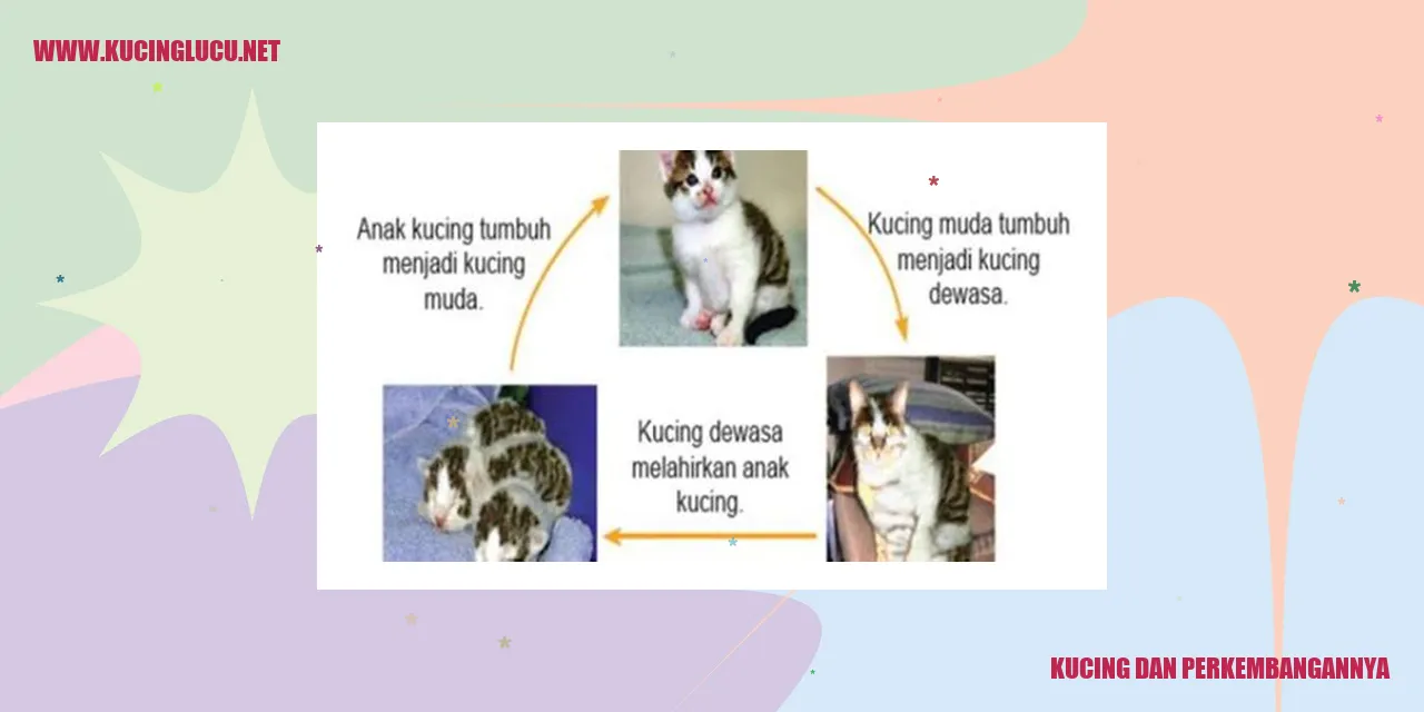 Sejarah Kucing dan Perkembangannya