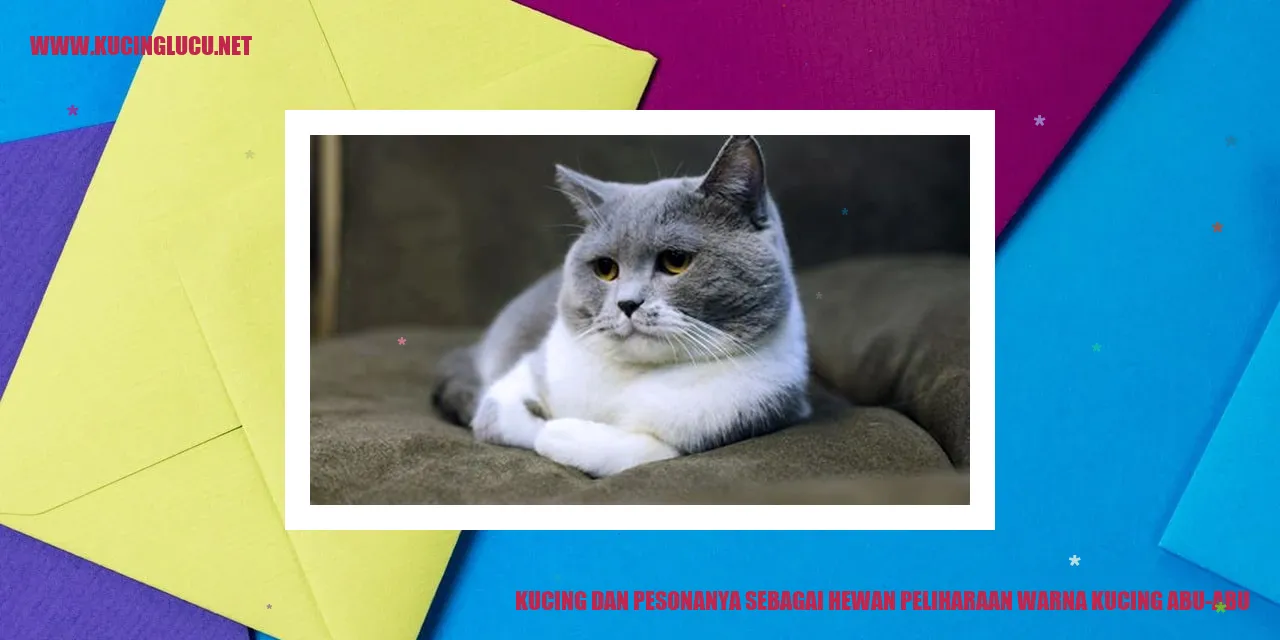 Relevansi dengan kucing warna abu-abu