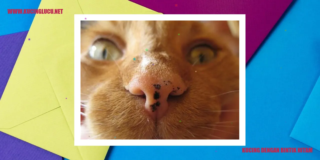 Kucing bintik hitam