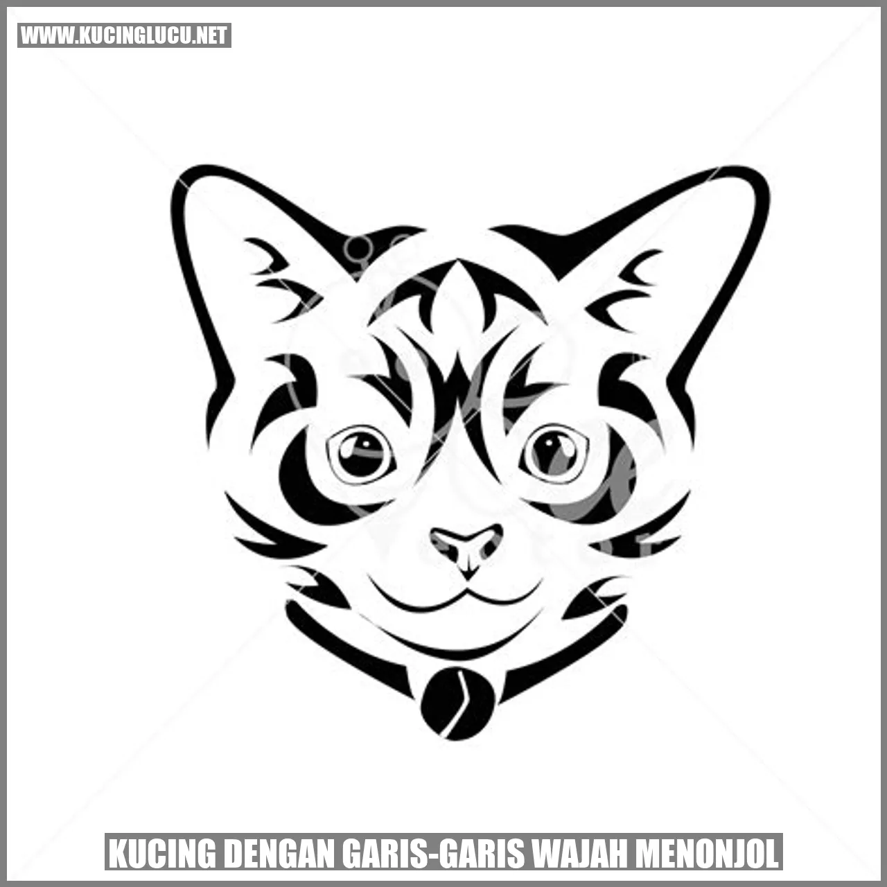 Kucing dengan Garis-Garis Wajah Menonjol