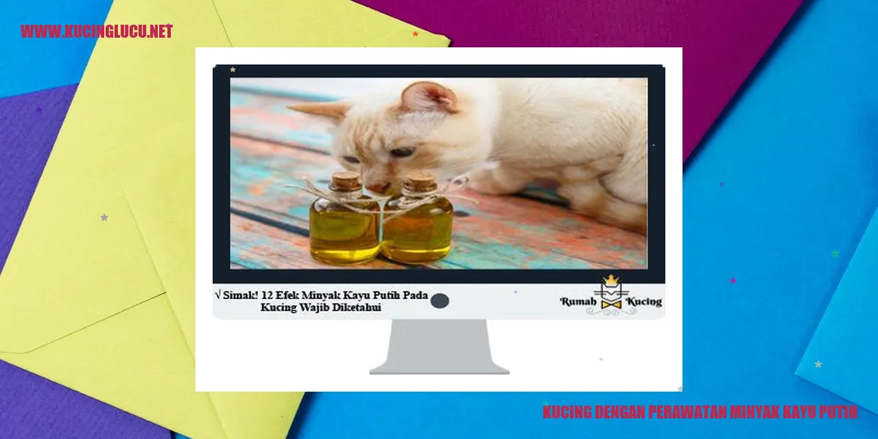 Perawatan Minyak Kayu Putih untuk Kucing