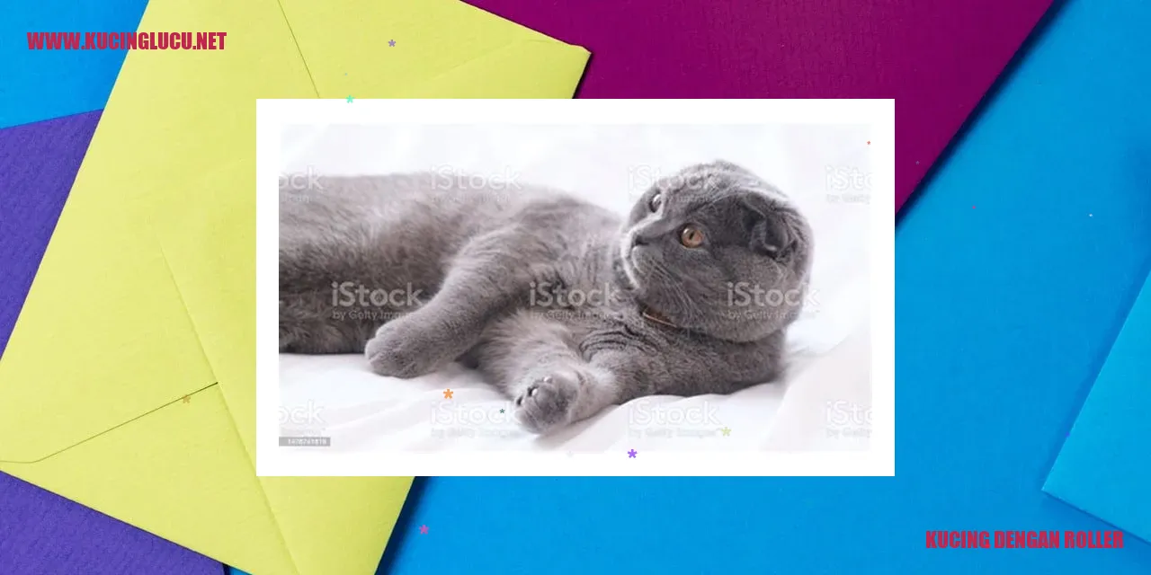 kucing dengan kerudung