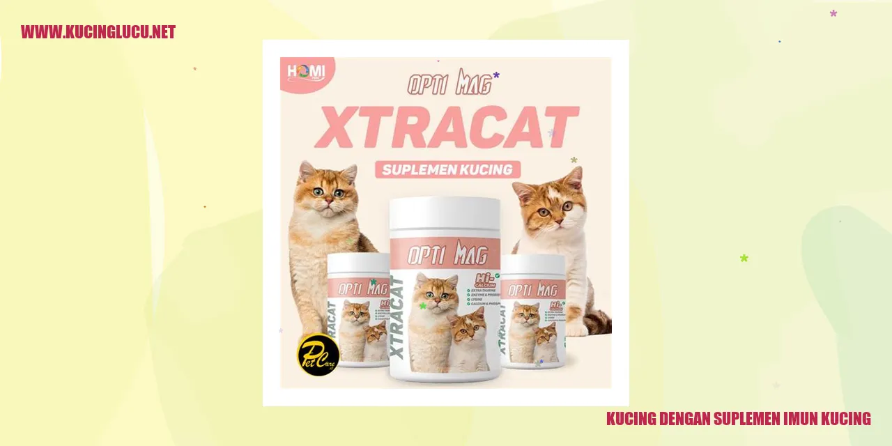 Kucing dengan suplemen imun kucing
