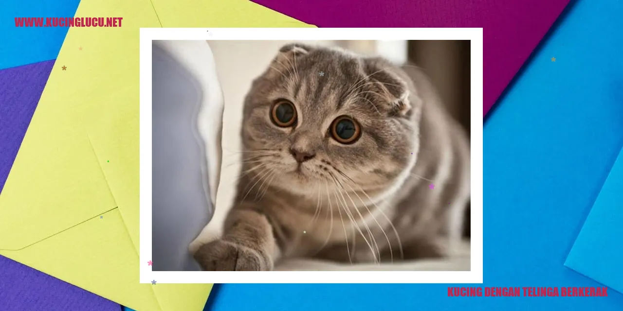 Kucing dengan Telinga Berkerak