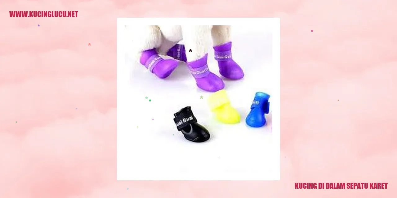 Kucing dalam sepatu karet