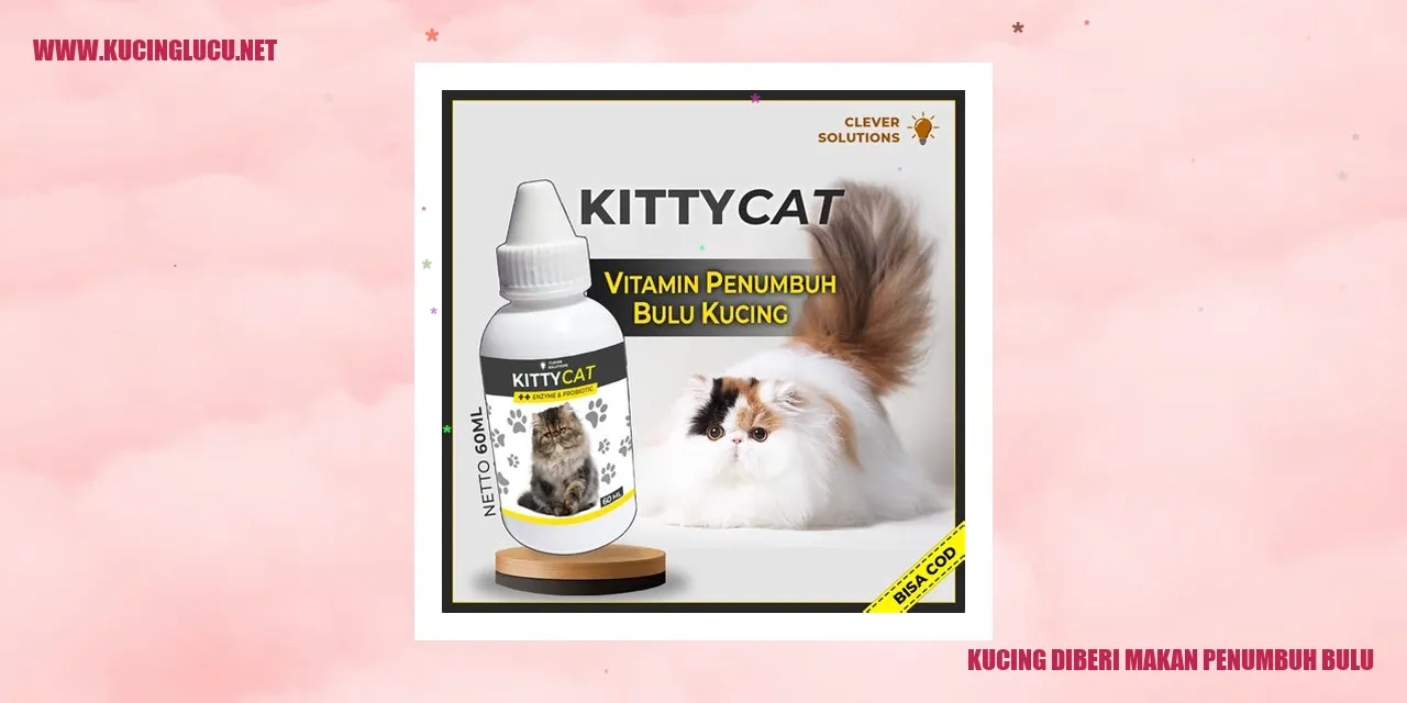 Gambar kucing dengan bulu yang indah