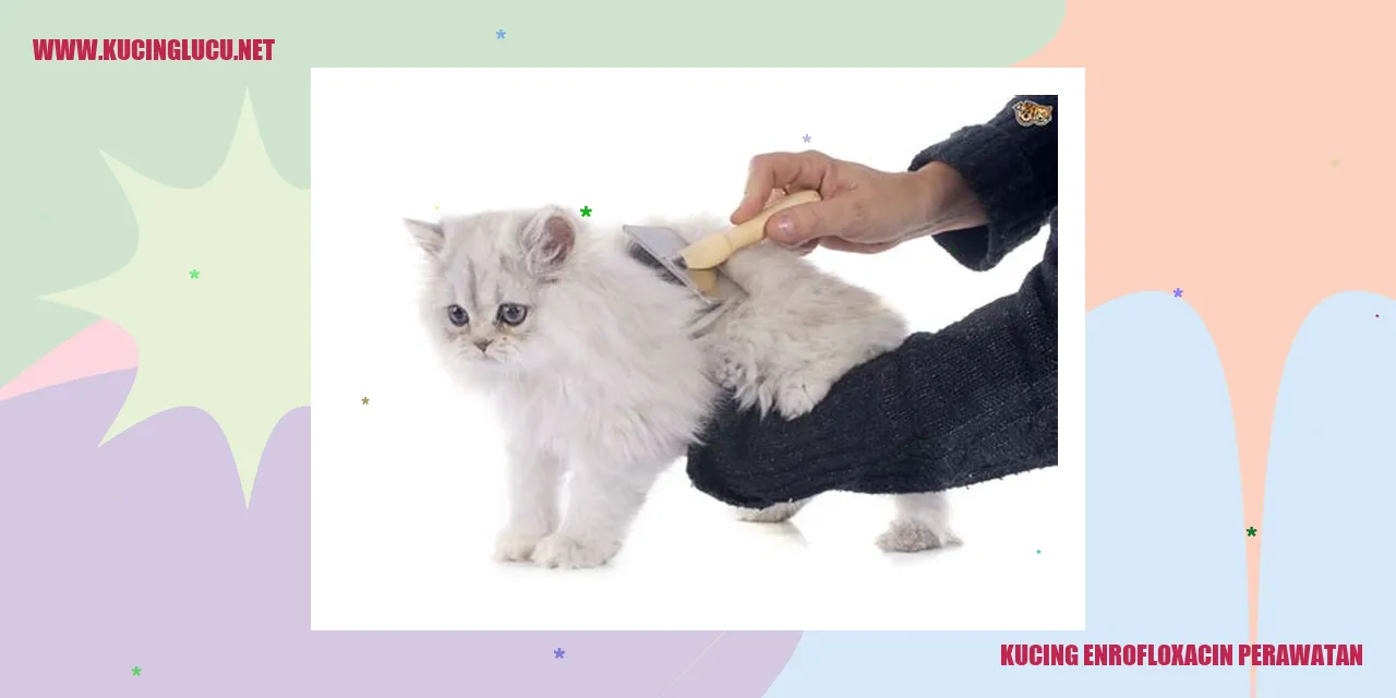 Kecanggihan Enrofloxacin untuk Kucing