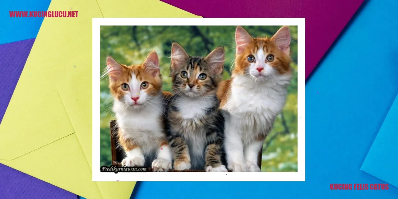 Perawatan Kesehatan Kucing Felis Catus
