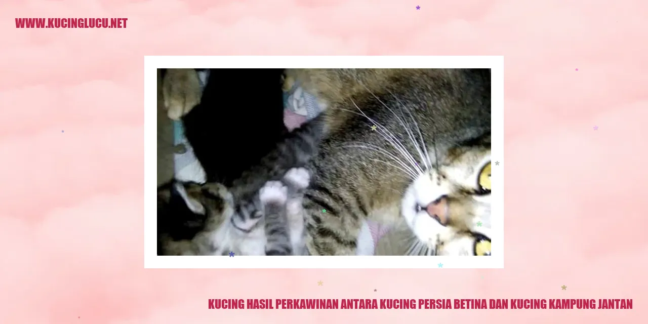 Kucing sebagai Hewan Peliharaan