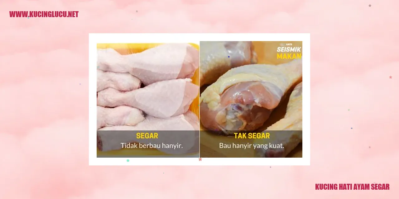 Kucing menikmati Hati Ayam