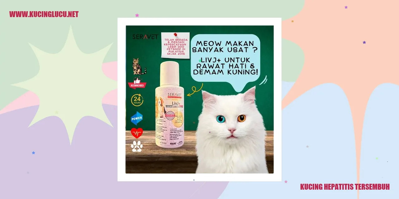 Kucing yang Mengalami Hepatitis dapat Sembuh