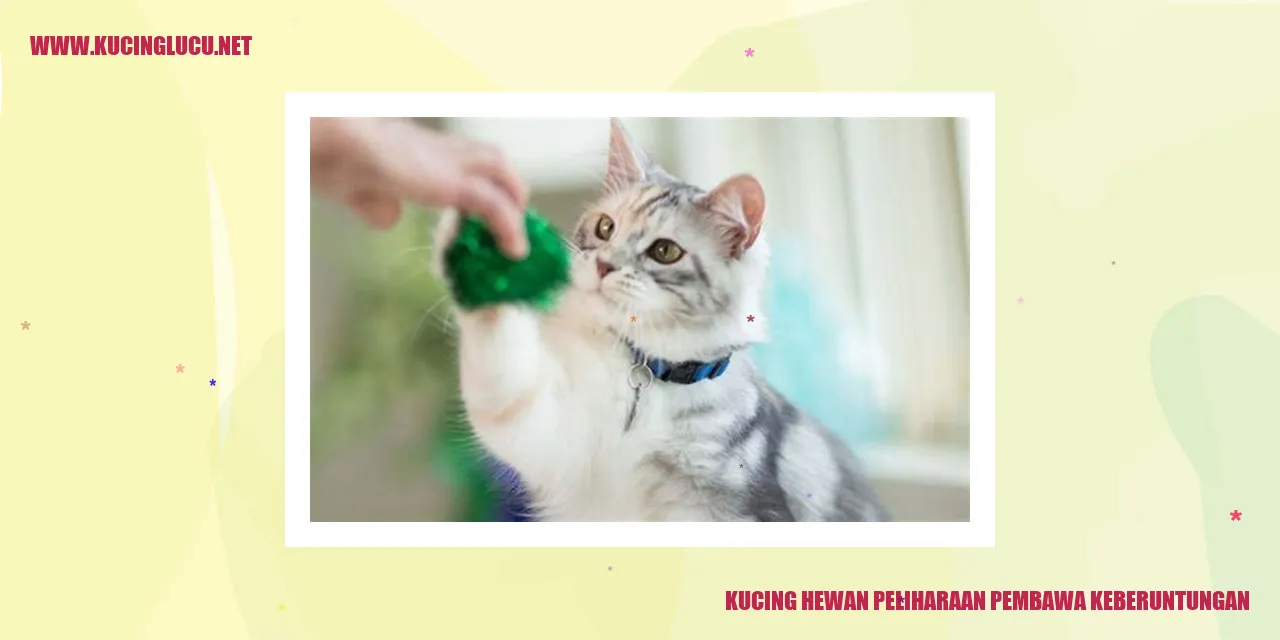 Kucing hewan peliharaan pembawa keberuntungan