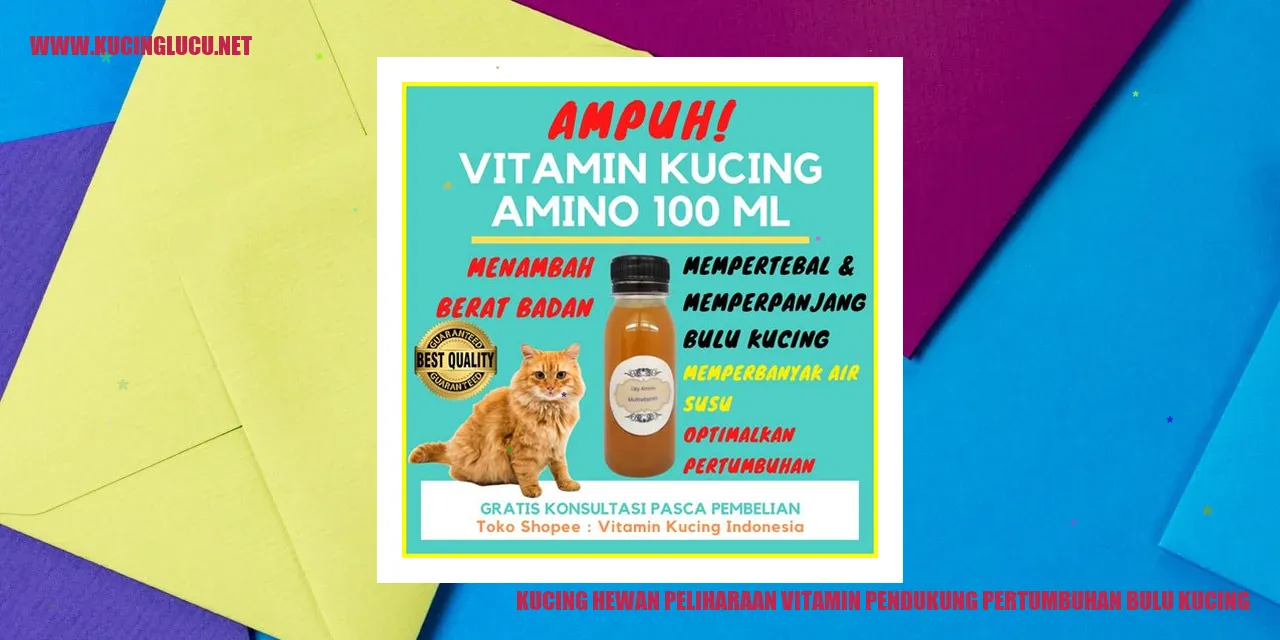 Kucing yang sehat dan berbulu tebal