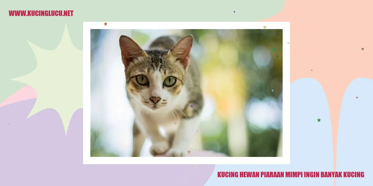 Kucing sebagai Hewan Piaraan