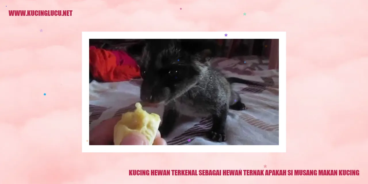 Gambar Kucing sebagai Hewan Peliharaan