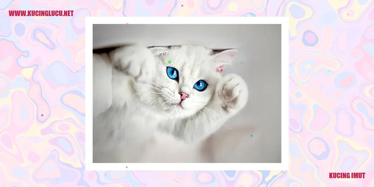 Kucing Imut