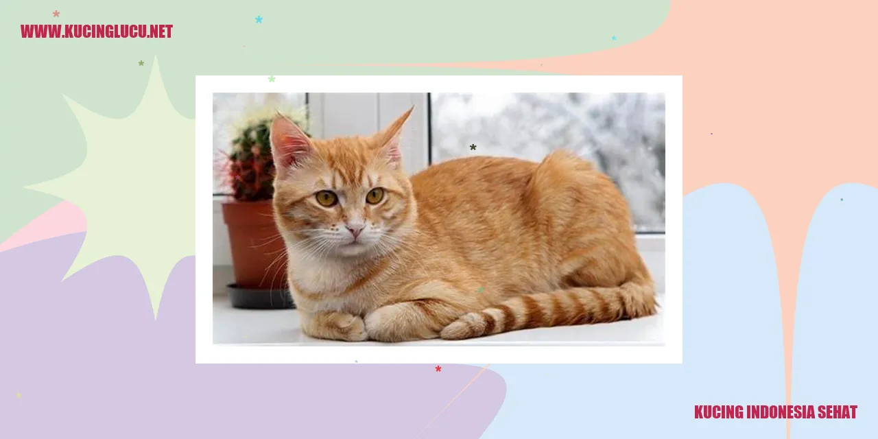 Kucing Ras Indonesia
