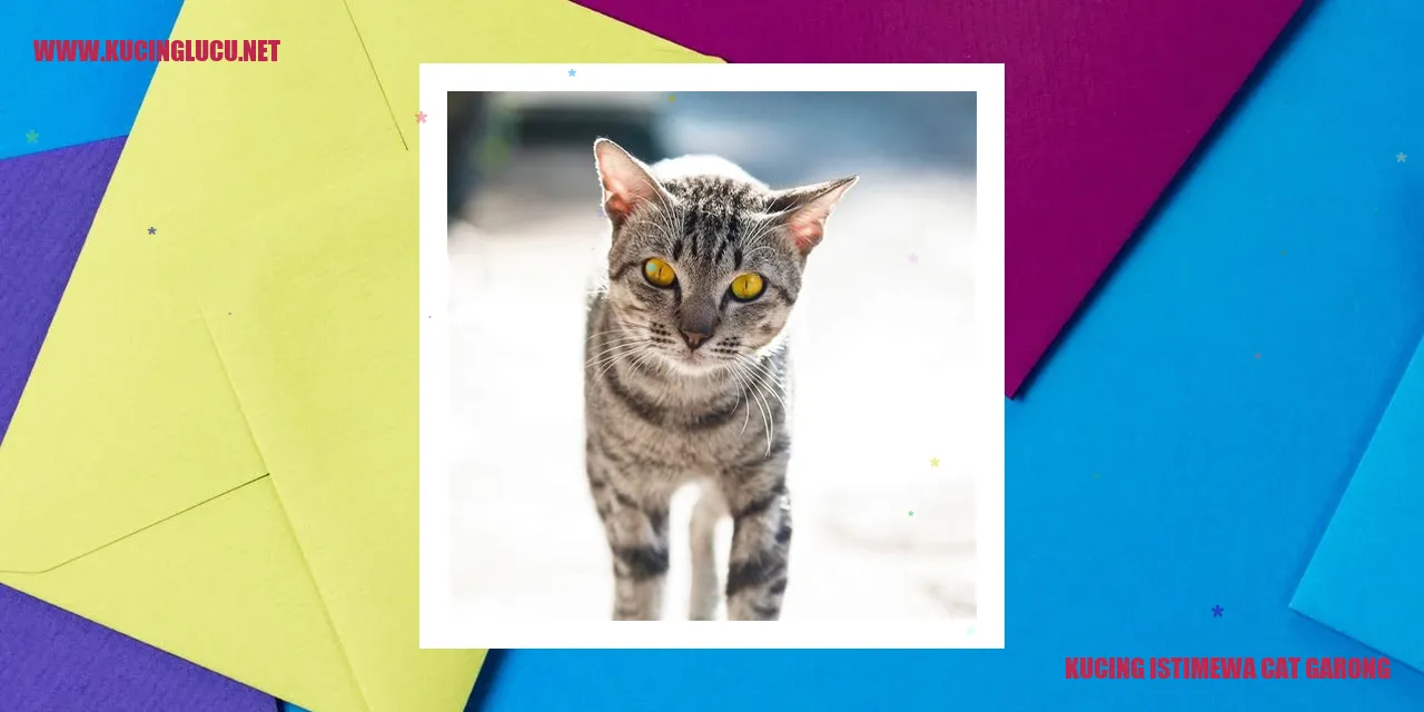 Kucing istimewa lirik lagu kelakuan si kucing garong