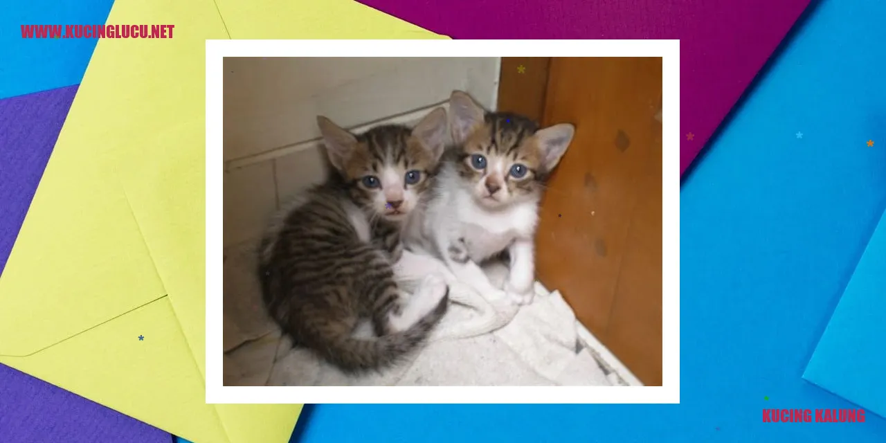Kucing Berkikalung