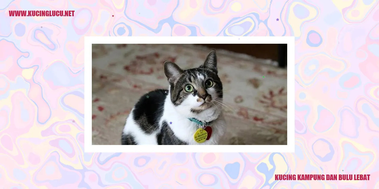 Karakteristik Fisik Kucing