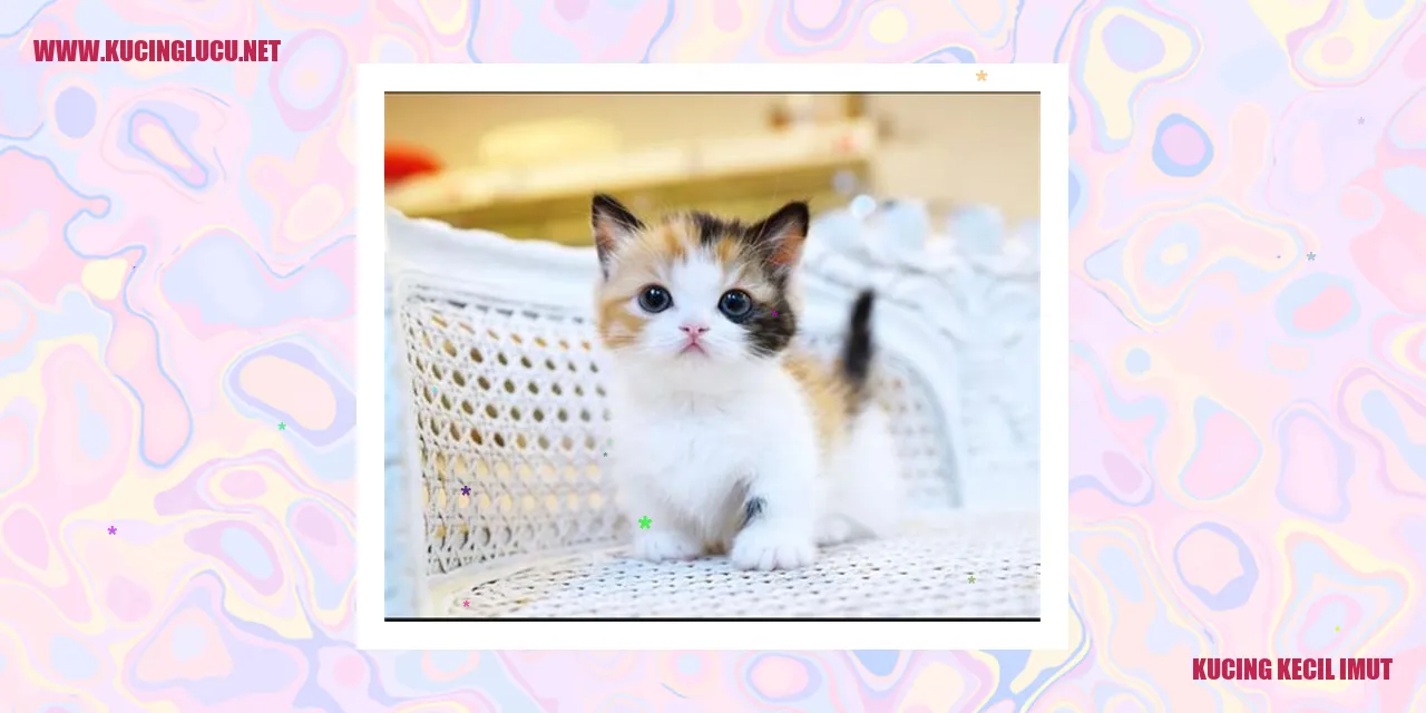 Kucing sebagai Hewan Peliharaan