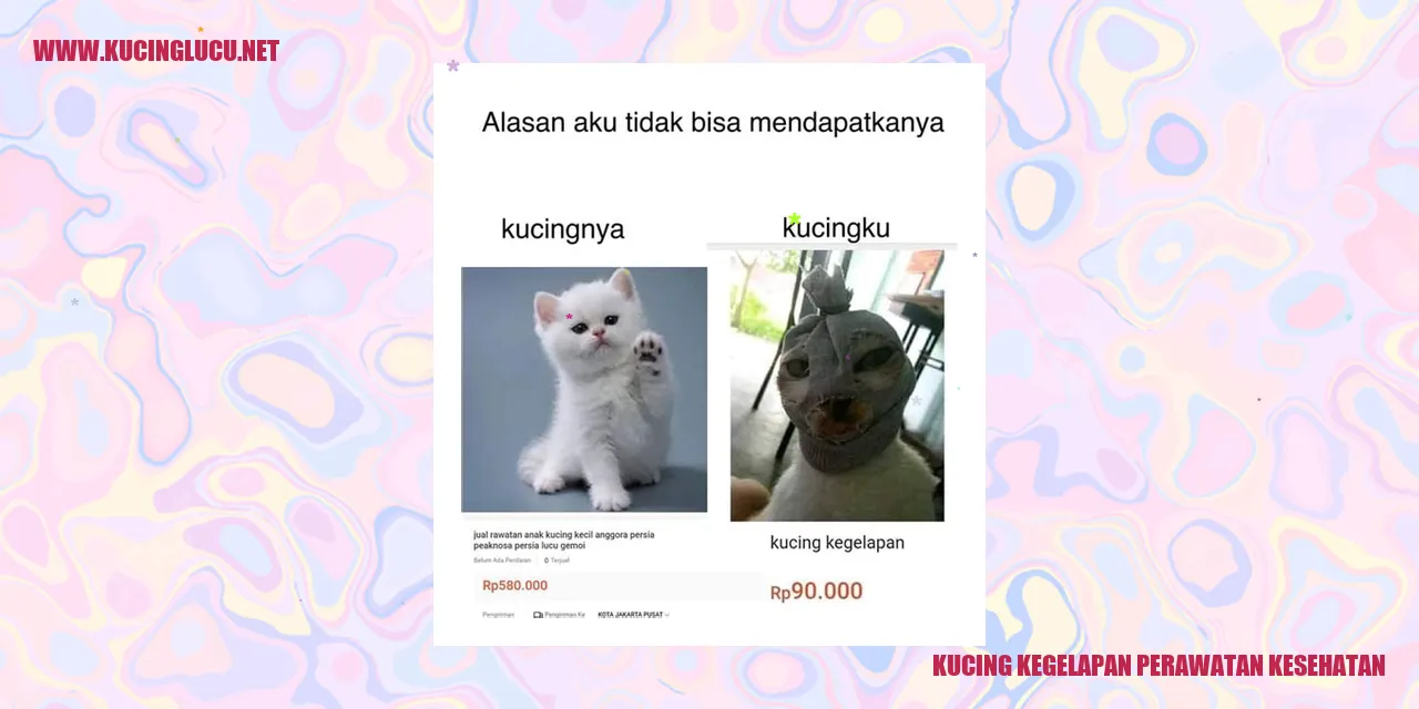 Perawatan Kesehatan Kucing Kucing Kegelapan
