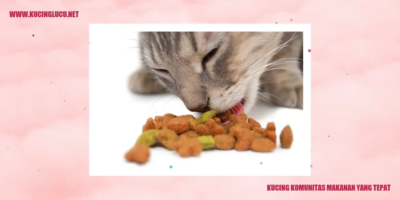 Makanan Kucing