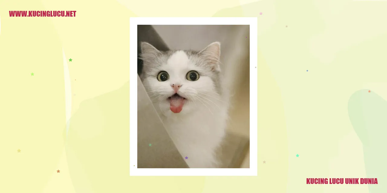 Kucing unik dunia