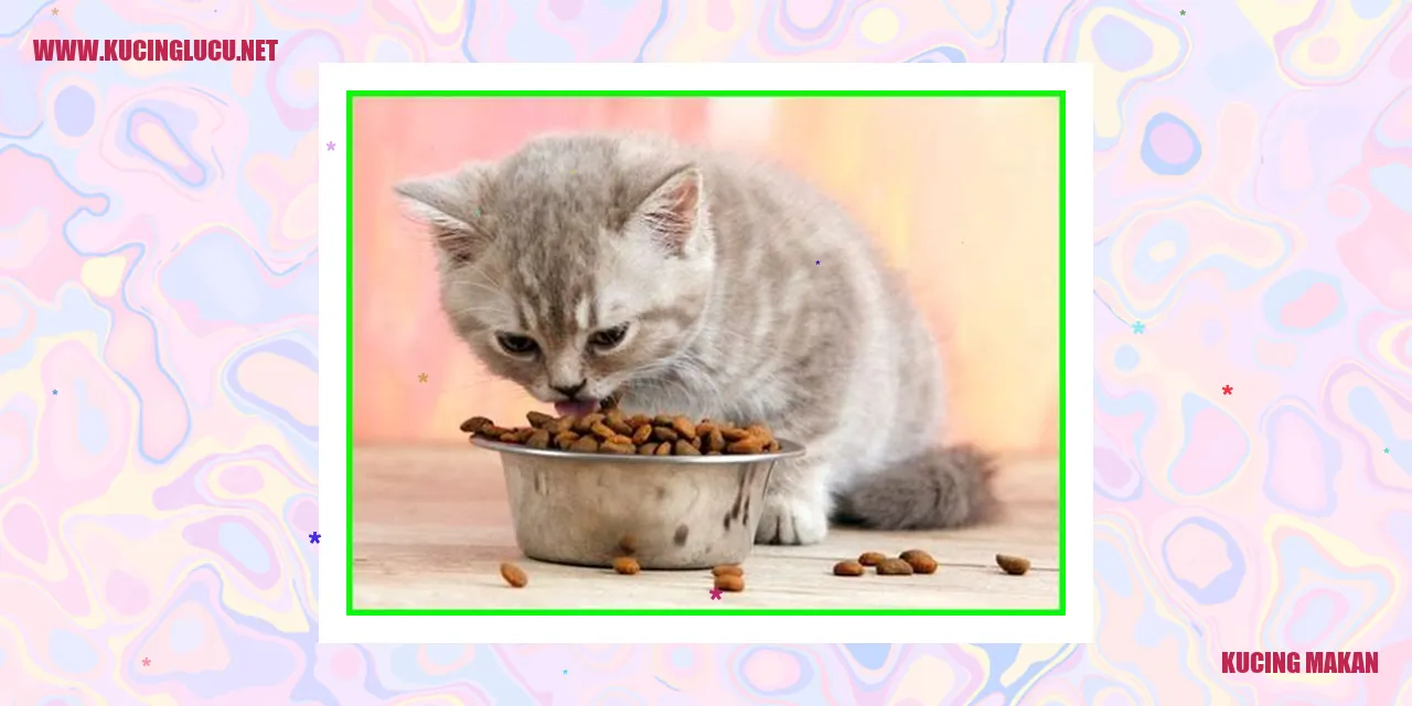 Gambar Kucing Makan