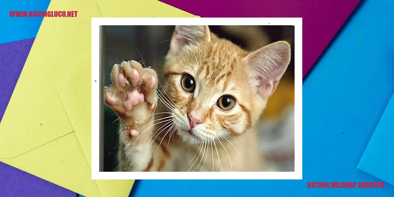 Kucing melahap anaknya