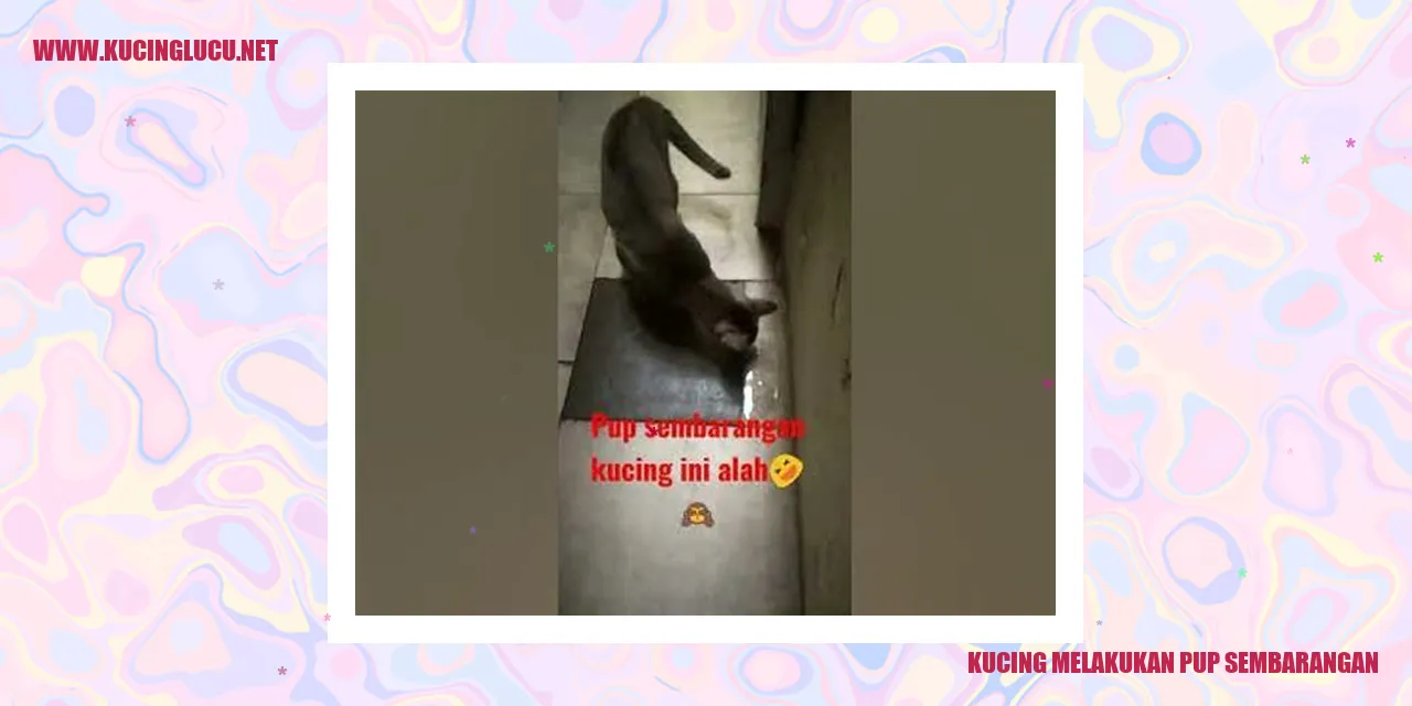 Kucing pup sembarangan