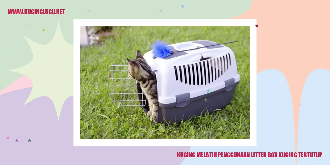 Kucing menggunakan Litter Box Tertutup