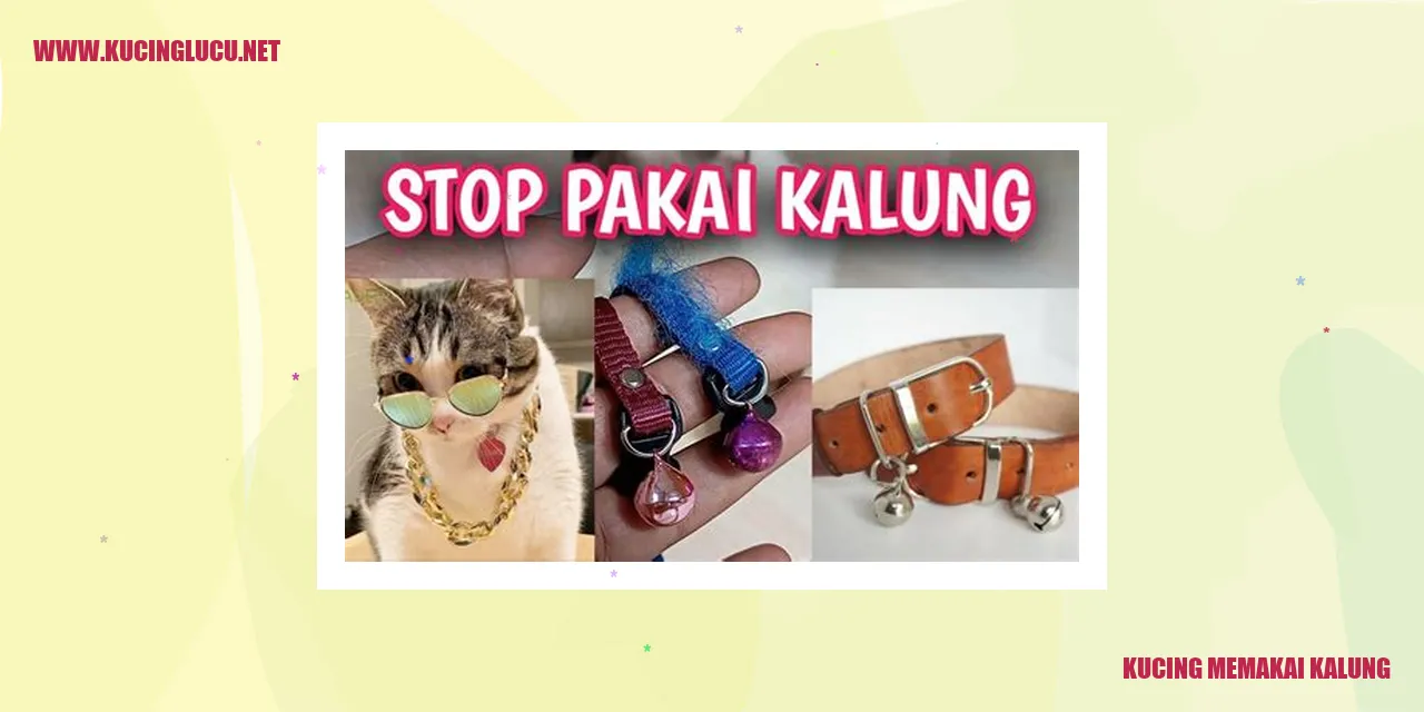 Kucing Bernyamanan dengan Kalung