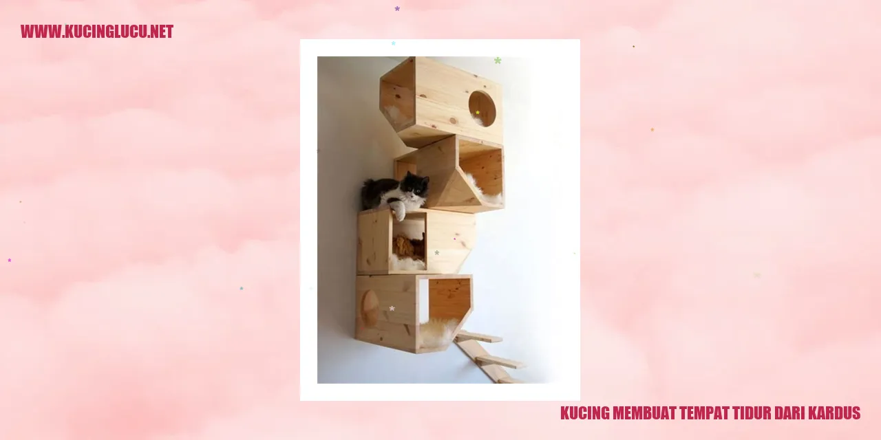 Tempat tidur kucing dari kardus