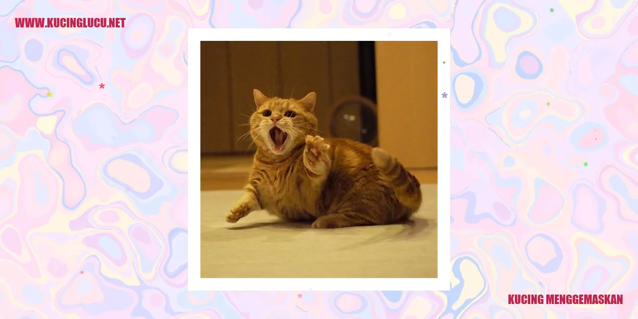 Kucing Menggemaskan