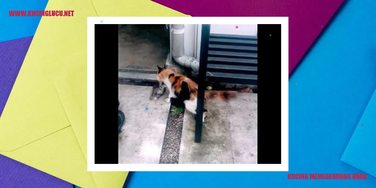 Gambar Kucing yang Menggendong Anak Kucing