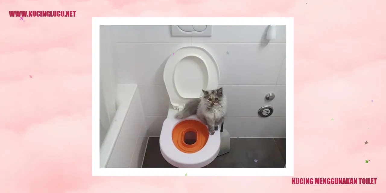 Kucing Menggunakan Toilet