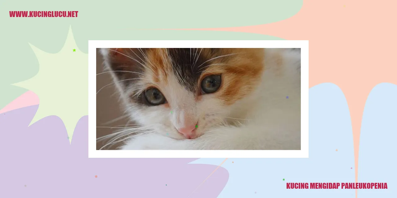 Sejarah Penyakit Panleukopenia pada Kucing