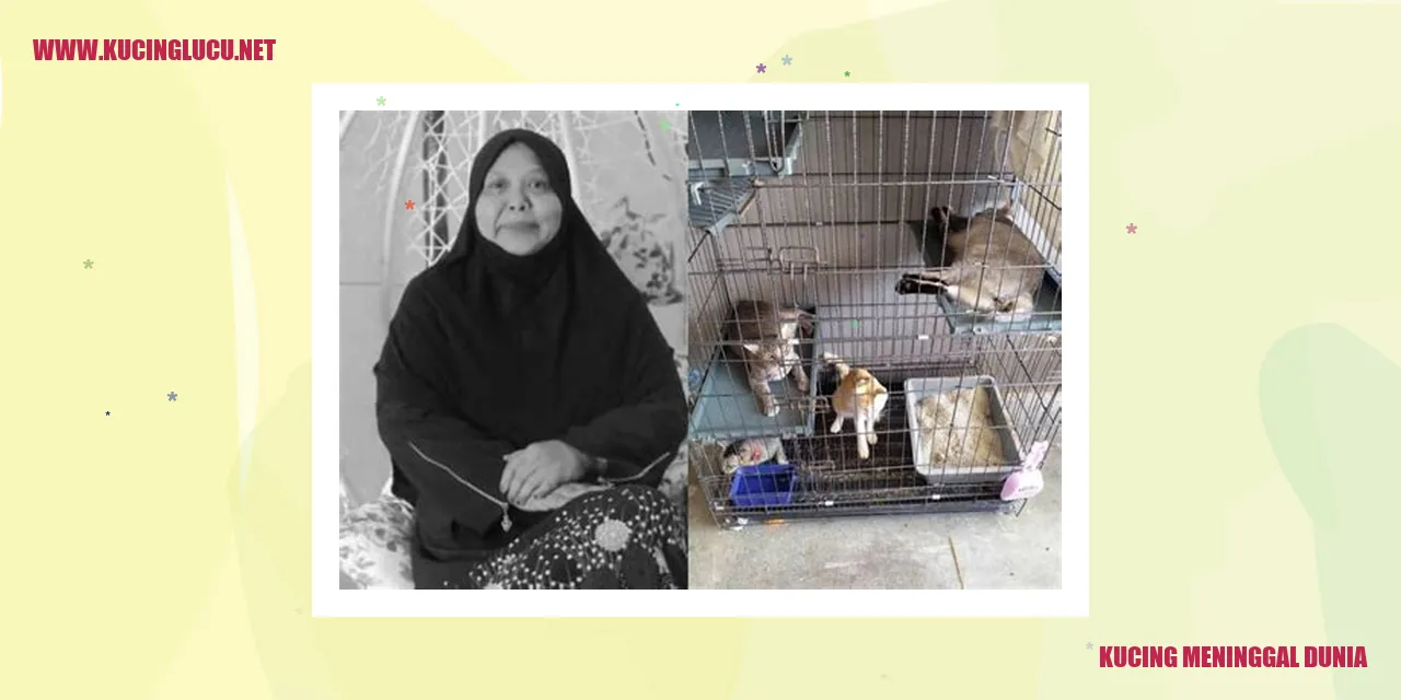 Kucing yang sedih