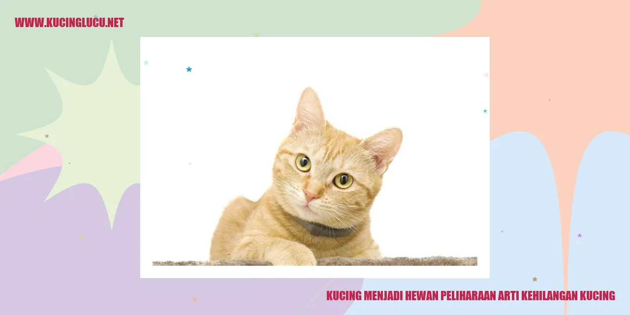 Kucing Sebagai Hewan Peliharaan