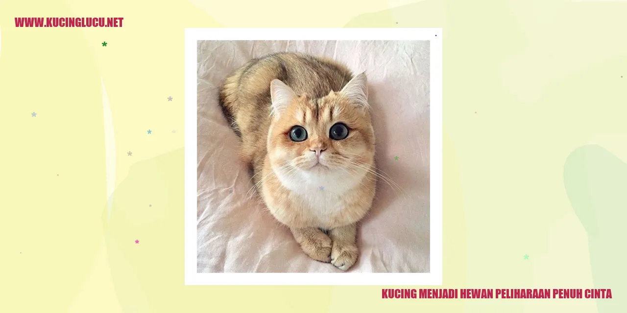 Kucing yang Menawan