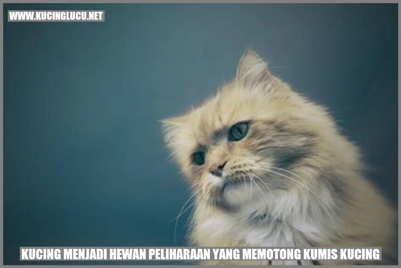 Kucing memangkas kumis