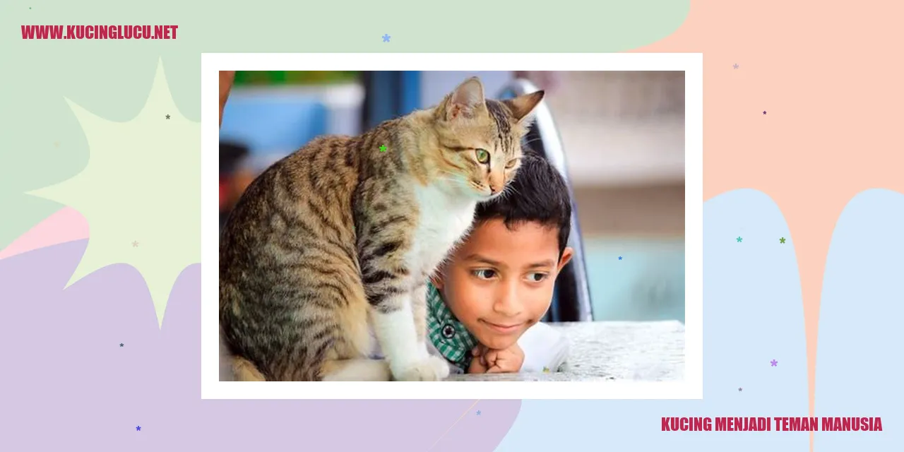 gambar kucing peliharaan
