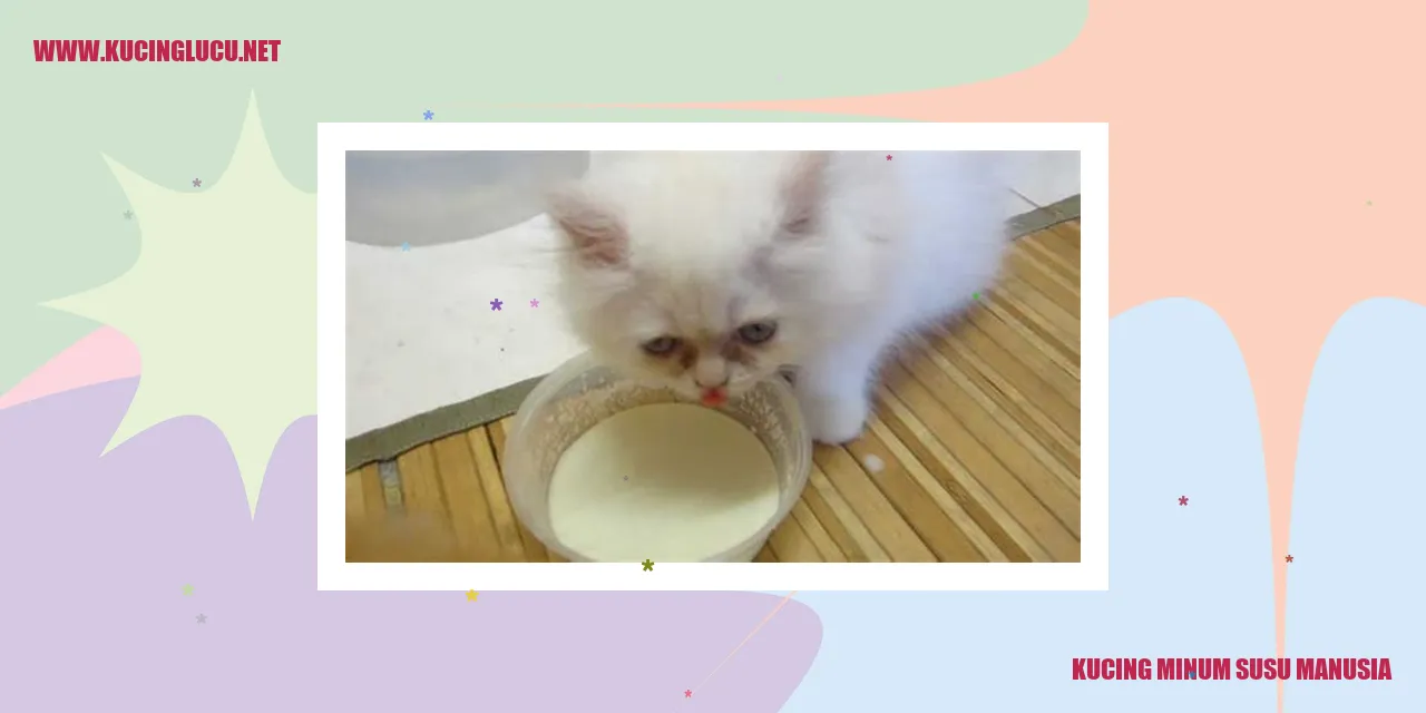 Kucing Menyusu Susu Manusia