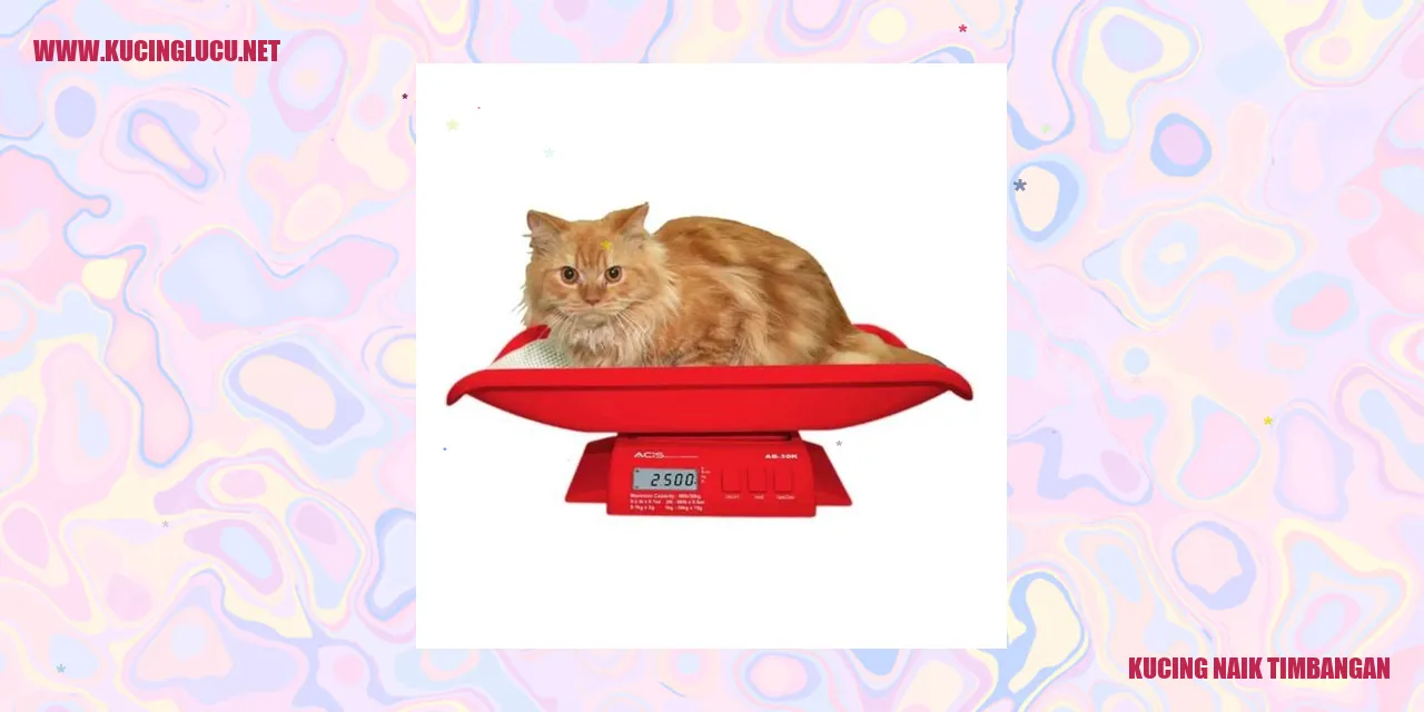 Kucing timbangan kucing
