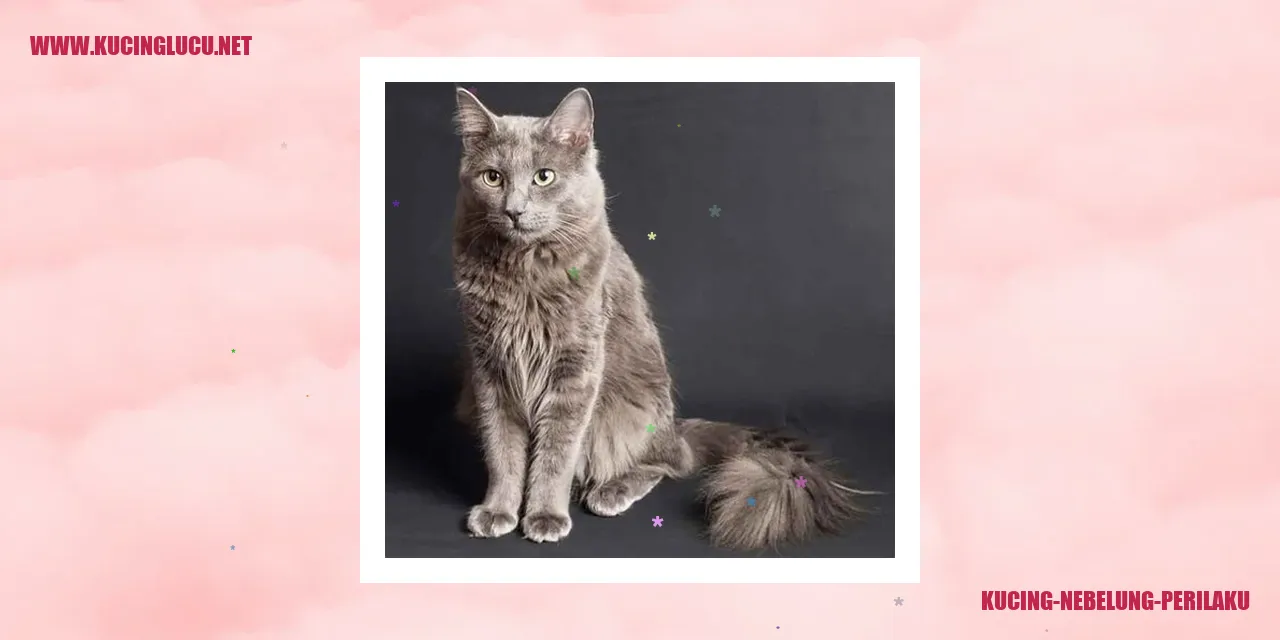 Kucing Nebelung