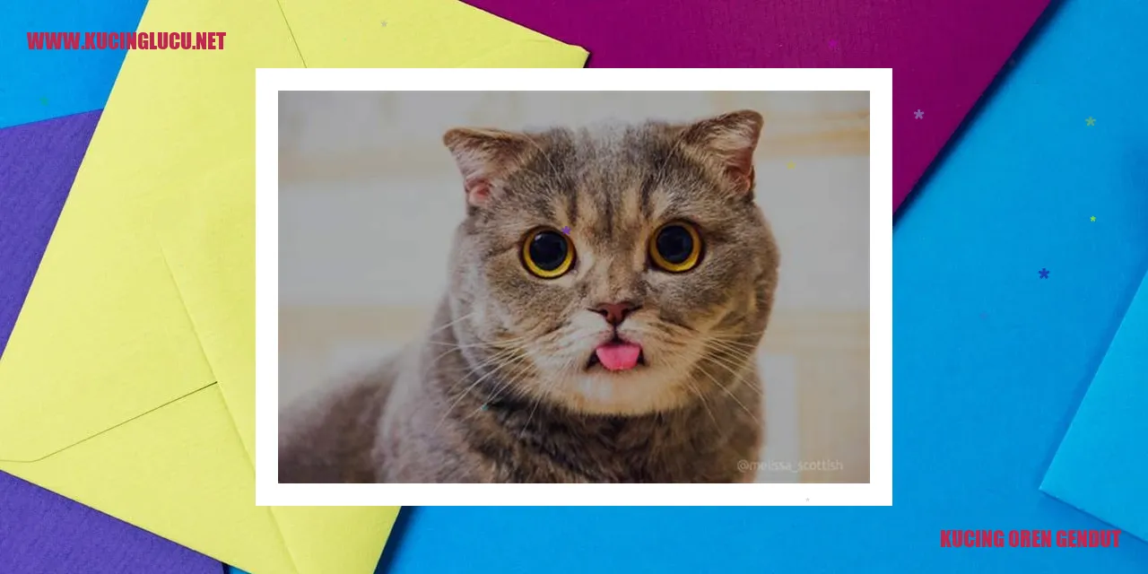 Kucing Oren Gendut yang Menggemaskan